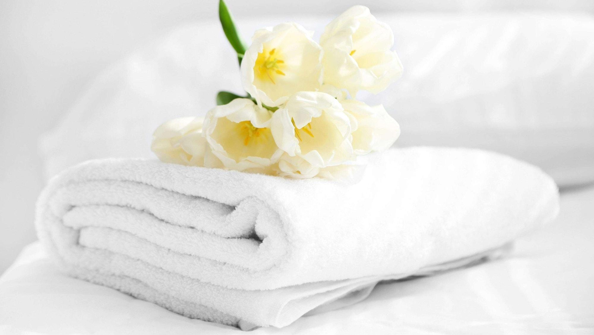 Magnuson Hotel Nashville North Гудлетсвил Екстериор снимка